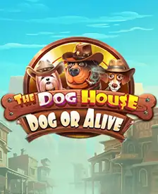 The Dog House Dog or Alive
